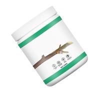 Bewinner Chaux Arbre Plaie Élagage Mastic Cicatrisant Pâte | Protection contre les coupures d\'arbustes de jardin, scellant de greffage de bonsaï, soin des rosiers, brosse incluse