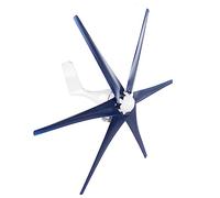 Bewinner Éolienne 800W 6 Pales, Générateur à Aimant Permanent Triphasé