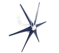 Bewinner Éolienne 800W 6 Pales, Générateur à Aimant Permanent Triphasé