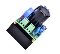 Bewinner Plaque de Redressement 0-220VAC à 0-311VDC 10A Protection contre | Convertisseur AC DC, module d\'alimentation, protection contre la foudre, fusible de court-circuit, sortie 10 A, PCB 50 x