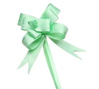 BGHYJKOL Noeuds Cadeau Emballage Nœuds à Tirer 10/20/50/100 pièces Mini Emballage Cadeau for fête, Anniversaire, des mères, Halloween, Noël, décoration de Mariage(Minirose-Light Green,100PCS)
