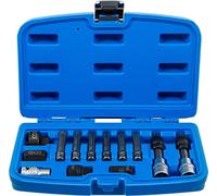 BGS technic Jeu de douilles à embouts 4246 pour alternateur 12,5 mm (1/2") 13 pièces