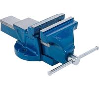 BGS technic KG Étau parallèle mâchoires de 125 mm