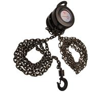 BGS Palan à chaîne pour bouteilles Hauteur de levage 2,5 m 2 t - 3484