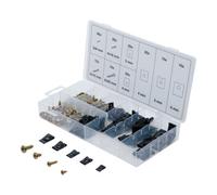 BGS technic – Assortiment d’agrafes et de vis de carrosserie BGS 8114 – 170 pièces
