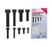 BGS technic Assortiment de vis à tête cylindrique hexagone femelle 106 pièces BGS Quantité:1