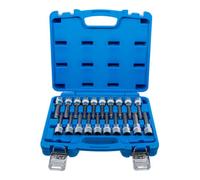 BGS technic BGS Jeu d’embouts, entraînement carré intérieur 12,5 mm (1/2"), hexagone intérieur, profil T (pour TX), étoile intérieure (pour XZN) avec tête sphérique, 20 pièces Quantité:1
