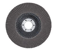 BGS technic Disque à lamelles Ø 125 mm K 120 BGS Quantité:1