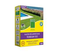 BHS Gazon Regarnissage Terrain Sec - 3kg - 150 m² - Gazon plus résistant et mieux protégé - Bonne Pérennité et Résistance Aux Piétinements GRTS3