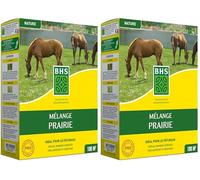 BHS GPR1 | 1kg | 100 m² | Gazon Melange Prairie | Destiné aux zones extensives qui ne nécessitent pas d’entretien | Pour le pâturage des animaux | Installation rapide (Lot de 2)