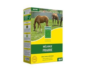 BHS GPR1 | 1kg | 100 m² | Gazon Melange Prairie | Destiné aux zones extensives qui ne nécessitent pas d’entretien | Pour le pâturage des animaux | Installation rapide