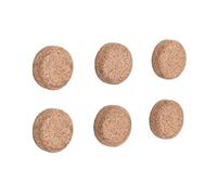 Bi-Office Pack de 6 Aimants ronds 2,5 cm Naturel