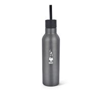 Bialetti To Go Gourde Isotherme, Double Paroi, Garde Chaud 12H et Froid 24H, Acier, Capacité 750 ml, Gris, Gris Foncé