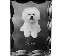 Bichon frisé - cristal avec photo du chien, statuette en verre avec photo, cadre unique avec photo de la marque Art-Dog