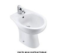 Bidet Brive Blanc 4382 - Jacob Delafon - Monotrou 50mm - Céramique