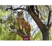 Big Cats Kalender 2027 - Wandkalender | Fotokalender Tierkalender 24x35cm - Wunderschöner Großkatzen-. mit beeindruckenden Fotos von Tiger| Löwen | Jaguar | Gepard | Luchs | Puma