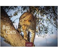 Big Cats Kalender 2027 - Wandkalender | Fotokalender Tierkalender 35x50cm - Wunderschöner Großkatzen-. mit beeindruckenden Fotos von Tiger| Löwen | Jaguar | Gepard | Luchs | Puma.