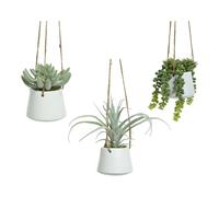 Bigbuy Plante succulente artificielle - Blanc