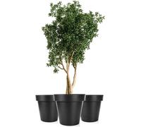 BigDean 3X Pot de fleurs XXL ø60 cm Classic anthracite - avec roulettes à 360 degrés et système de drainage refermable - plastique résistant aux intempéries - bac à plantes