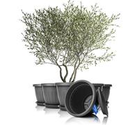 BigDean 6X Pot de fleurs avec soucoupe, rond, ø50 x H38 cm, anthracite - bac à plantes résistant aux intempéries - système de drainage, résistant aux UV, en plastique incassable