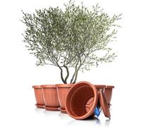 BigDean 6X Pot de fleurs avec soucoupe, rond, ø50 x H38 cm, terre cuite - bac à plantes résistant aux intempéries - système de drainage, résistant aux UV, en plastique incassable