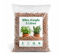 Billes d'argile 5 litres, Drainage et Aération pour Plantes, 100% Naturel et Réutilisable