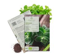 BIO Graines d'origan - Graines d'herbes aromatiques pour faire pousser de culture biologique idéal pour le jardin aromatique