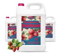Bioéthanol 96,6 % 15 l | Alcool bio parfum fraise des bois 96,6 % 3 x 5 l | Bioéthanol pour cheminée, cheminée de table | Bioéthanol Parfum fraise des bois | Combustion propre, sans fumée, flamme vive