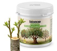 BIOEXXE Cicatrisant Arbre à Base de Résines Végétales - Mastic de Cicatrisation pour Arbres Fruitiers, Pâte de Recouvrement pour Tronc et Écorce, Application au Pinceau 500 gr - Made in Italy