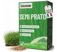 BIOEXXE Semences Gazon à Semer Résistant Ray-Grass Anglais 80 m² - Festuca Arundinacea Graines Pelouse Rustique Croissance Rapide - Semence Gazon Sport et Régarnissage