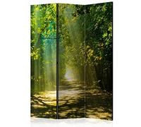 BIOMBO B&D XXL - Paravent Décoratif Intérieur Unilatéral 135x172 cm | 3 Panneaux, Toile Imprimée, Séparation de Pièce, Impression sur une Seule Face, Pliable, Cadre en Bois, Moderne pour Chambre