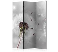 BIOMBO B&D XXL - Paravent Décoratif Intérieur Unilatéral 135x172 cm | 3 Panneaux, Toile Imprimée, Séparation de Pièce, Impression sur une Seule Face, Pliable, Cadre en Bois, Moderne pour Chambre