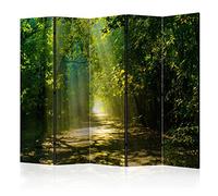 BIOMBO B&D XXL - Paravent Décoratif Intérieur Unilatéral 225x172 cm | 5 Panneaux, Toile Imprimée, Séparation de Pièce, Impression sur une Seule Face, Pliable, Cadre en Bois, Moderne pour Salon