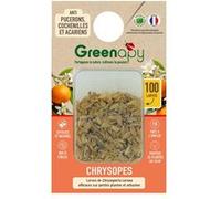 Biotop - 100 larves chrysopes anti-pucerons, cochenilles et acariens G