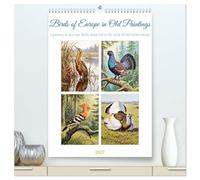 Birds of Europe in Old Paintings (High Quality Premium Wall Calendar 2027 DIN A2 portrait),CALVENDO 12 Month Wall Calendar: Rare encounters with ... in the classic style of nature illustration