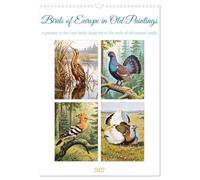 Birds of Europe in Old Paintings (Wall Calendar 2027 DIN A3 portrait), CALVENDO 12 Month Wall Calendar: Rare encounters with European birdlife rendered in the classic style of nature illustration