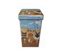 Biscottini Pouf de rangement pour enfants et adultes 33 x 60 x 33 cm | Boîtes de rangement refermables avec couvercle | Pouf de rangement carré avec décorations
