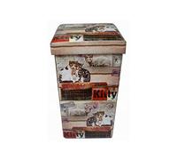 Biscottini Pouf de rangement pour enfants et adultes 33 x 60 x 33 cm | Boîtes de rangement refermables avec couvercle | Pouf de rangement carré avec décorations