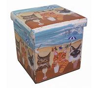 Biscottini Pouf de rangement pour enfants et adultes 39x39x39 cm | Boîtes de rangement refermables avec couvercle | Pouf de rangement carré avec décorations