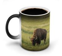 Bison Eats Grass - Tasse à café sensible à la chaleur - 325 ml - Grande tasse en céramique avec poignée - Changement de température - Cadeau amusant pour Noël