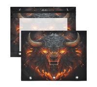 Bison En ColèRe Tiré Trousses à Crayons Transparentes pour Chevet,Compatibles avec les Classeurs à 3 Anneaux(2 Pack)