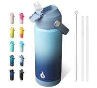 BJPKPK Bouteille Isotherme 530 ml - Acier Inoxydable avec Paille, Buse Souple & Poignée - Gaine Antidérapante - Chaud/Froid - Anti-Fuite, Sans BPA - Sport/Voyage - Ciel