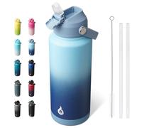 BJPKPK Bouteille Isotherme 950 ml - Acier Inoxydable avec Paille, Buse Souple & Poignée - Gaine Antidérapante - Chaud/Froid - Anti-Fuite, Sans BPA - Sport/Voyage - Sky