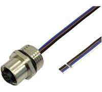 BKL Electronic 2703007 Prise encastrée pour capteur/actionneur M12 0.5 m Nombre de pôles: 4 1 pc(s)