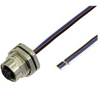 BKL Electronic 2703009 Prise encastrée pour capteur/actionneur M12 0.5 m Nombre de pôles: 3 1 pc(s)