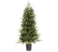 Black Box Trees Grimshaw Sapin de Noël Artificiel avec Guirlande Lumineuse - 120 x 60 cm - Arbre de Noël en Pot - Décoration de Noël pour l'intérieur - 206 Branches - Vert