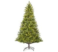 Black Box Trees Sapin de Noël Lumineux LED 210 cm, Nagoya, Réaliste, Aiguilles en PE, 200 LED Blanc Chaud, Touffu avec 1448 Pointes, Système à Clipser en 3 Parties, Ø 115 cm