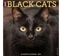 Black Cats 2026 12 X 12 Wall Calendar