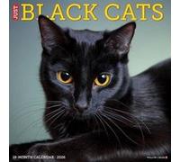 Black Cats 2026 12 X 12 Wall Calendar - Willow Creek Press - Willow Creek Press Calendars - Livre en Anglais - Calendar Willow Creek PressWillow Creek Press (Auteur)