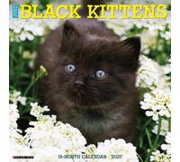 Black Kittens 2027 Wall